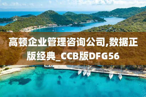 高顿企业管理咨询公司,数据正版经典_CCB版DFG56