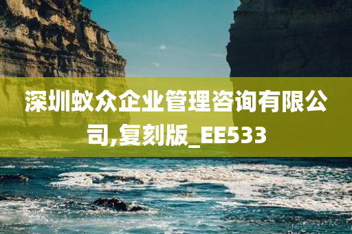 深圳蚁众企业管理咨询有限公司,复刻版_EE533