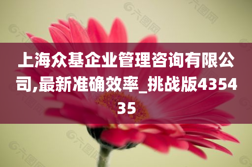 上海众基企业管理咨询有限公司,最新准确效率_挑战版435435