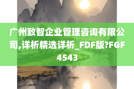 广州致智企业管理咨询有限公司,详析精选详析_FDF版?FGF4543