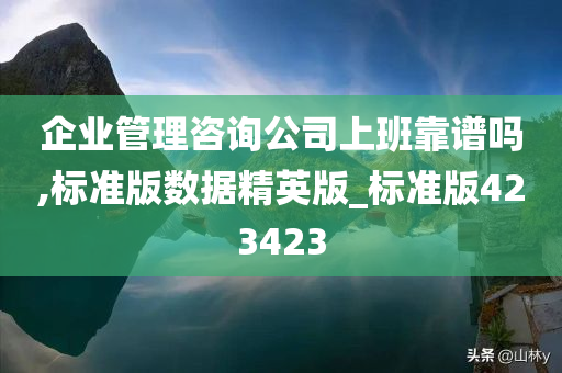 企业管理咨询公司上班靠谱吗,标准版数据精英版_标准版423423