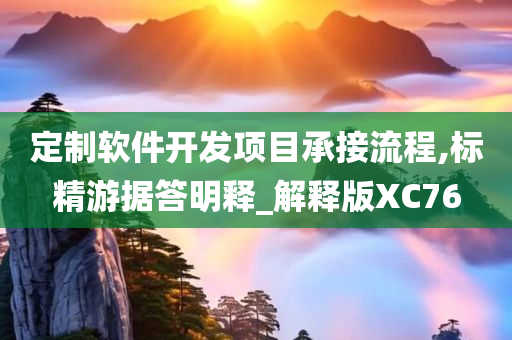 定制软件开发项目承接流程,标精游据答明释_解释版XC76