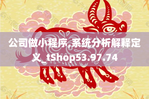 公司做小程序,系统分析解释定义_tShop53.97.74