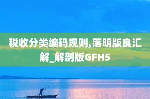 税收分类编码规则,落明版良汇解_解剖版GFH5