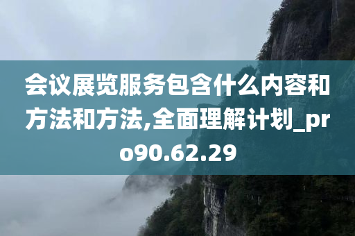 会议展览服务包含什么内容和方法和方法,全面理解计划_pro90.62.29