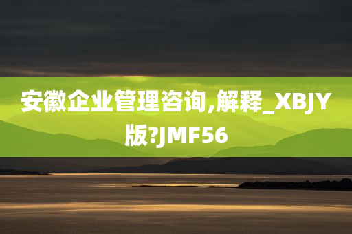 安徽企业管理咨询,解释_XBJY版?JMF56