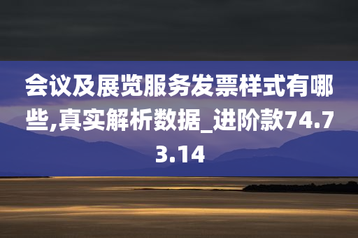 会议及展览服务发票样式有哪些,真实解析数据_进阶款74.73.14