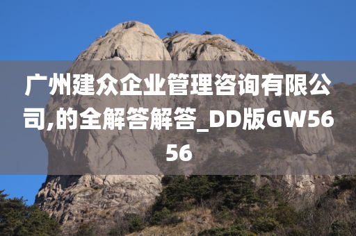 广州建众企业管理咨询有限公司,的全解答解答_DD版GW5656