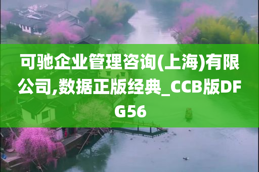 可驰企业管理咨询(上海)有限公司,数据正版经典_CCB版DFG56