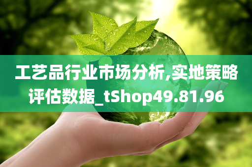 工艺品行业市场分析,实地策略评估数据_tShop49.81.96