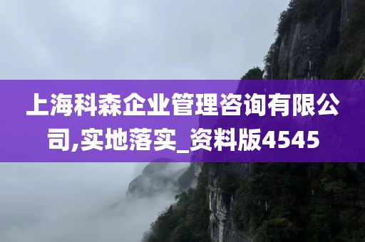 上海科森企业管理咨询有限公司,实地落实_资料版4545