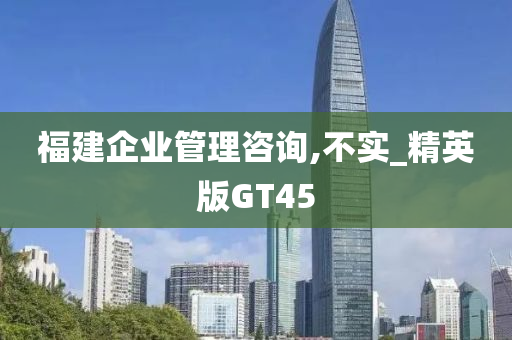 福建企业管理咨询,不实_精英版GT45