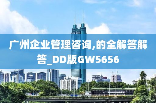 广州企业管理咨询,的全解答解答_DD版GW5656