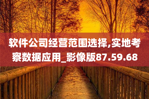 软件公司经营范围选择,实地考察数据应用_影像版87.59.68