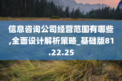 信息咨询公司经营范围有哪些,全面设计解析策略_基础版81.22.25