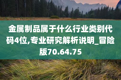 金属制品属于什么行业类别代码4位,专业研究解析说明_冒险版70.64.75