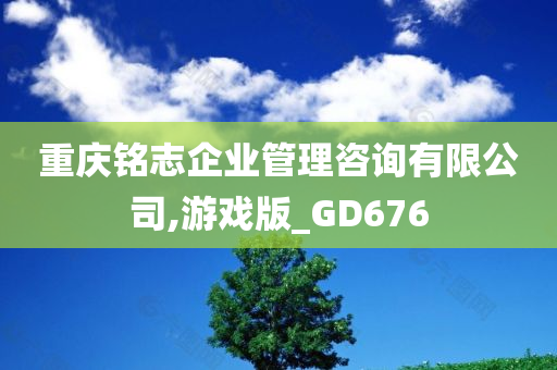 重庆铭志企业管理咨询有限公司,游戏版_GD676