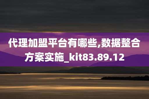 代理加盟平台有哪些,数据整合方案实施_kit83.89.12