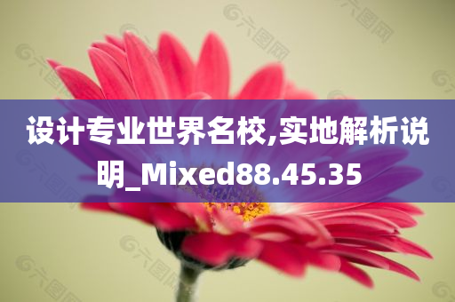 设计专业世界名校,实地解析说明_Mixed88.45.35