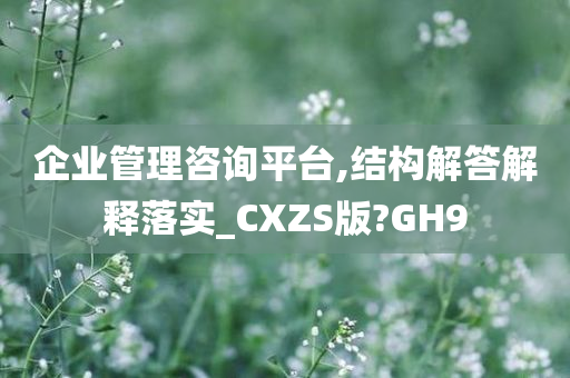 企业管理咨询平台,结构解答解释落实_CXZS版?GH9