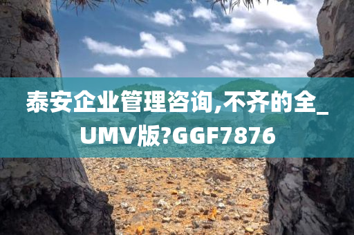 泰安企业管理咨询,不齐的全_UMV版?GGF7876