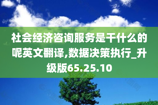 社会经济咨询服务是干什么的呢英文翻译,数据决策执行_升级版65.25.10