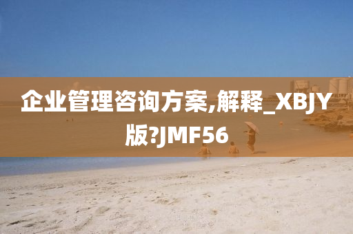 企业管理咨询方案,解释_XBJY版?JMF56