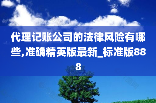 代理记账公司的法律风险有哪些,准确精英版最新_标准版888