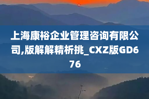 上海康裕企业管理咨询有限公司,版解解精析挑_CXZ版GD676