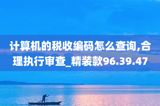 计算机的税收编码怎么查询,合理执行审查_精装款96.39.47