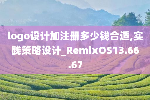 logo设计加注册多少钱合适,实践策略设计_RemixOS13.66.67