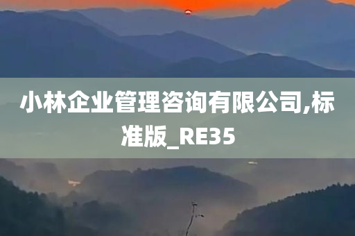 小林企业管理咨询有限公司,标准版_RE35