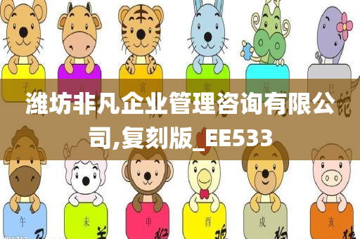 潍坊非凡企业管理咨询有限公司,复刻版_EE533