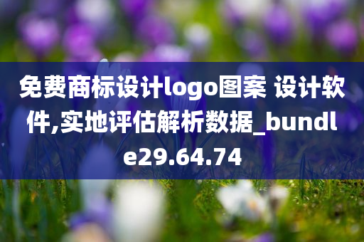 免费商标设计logo图案 设计软件,实地评估解析数据_bundle29.64.74