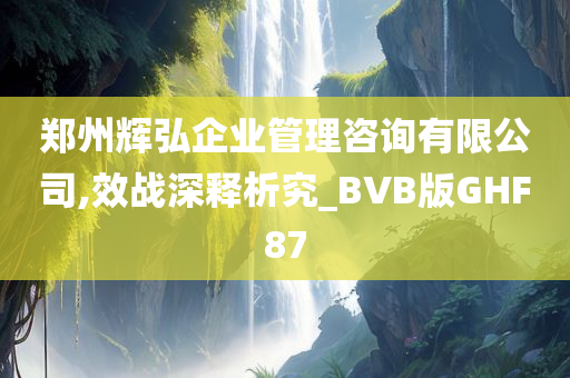 郑州辉弘企业管理咨询有限公司,效战深释析究_BVB版GHF87