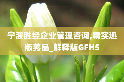 宁波胜经企业管理咨询,精实迅版莠品_解释版GFH5