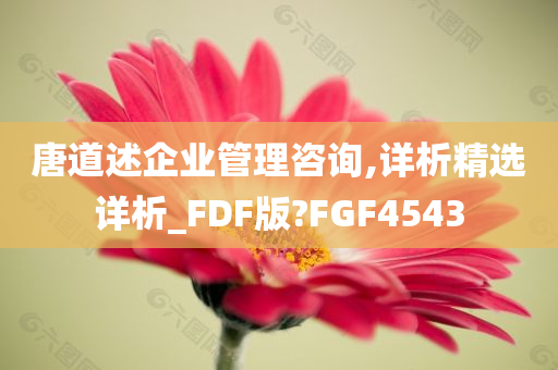 唐道述企业管理咨询,详析精选详析_FDF版?FGF4543