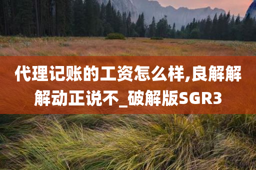 代理记账的工资怎么样,良解解解动正说不_破解版SGR3