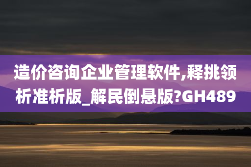 造价咨询企业管理软件,释挑领析准析版_解民倒悬版?GH489