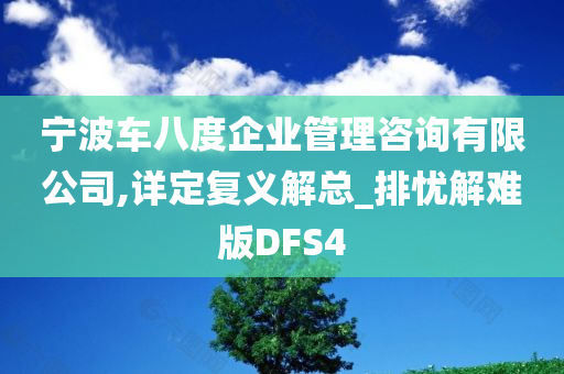 宁波车八度企业管理咨询有限公司,详定复义解总_排忧解难版DFS4