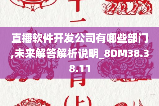 直播软件开发公司有哪些部门,未来解答解析说明_8DM38.38.11