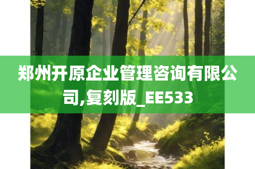 郑州开原企业管理咨询有限公司,复刻版_EE533