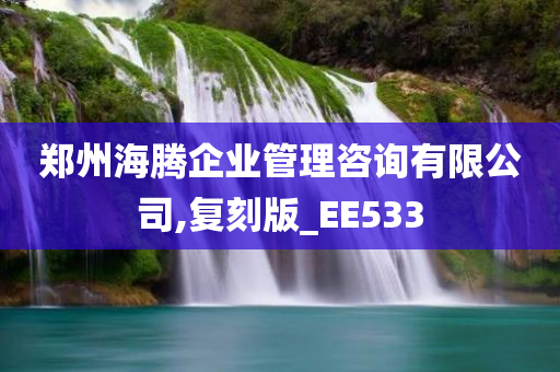 郑州海腾企业管理咨询有限公司,复刻版_EE533