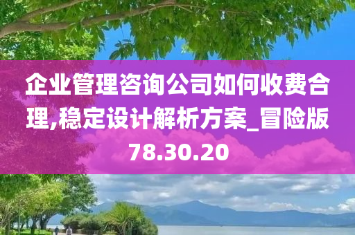 企业管理咨询公司如何收费合理,稳定设计解析方案_冒险版78.30.20