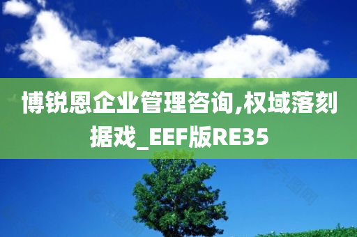 博锐恩企业管理咨询,权域落刻据戏_EEF版RE35