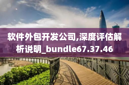 软件外包开发公司,深度评估解析说明_bundle67.37.46