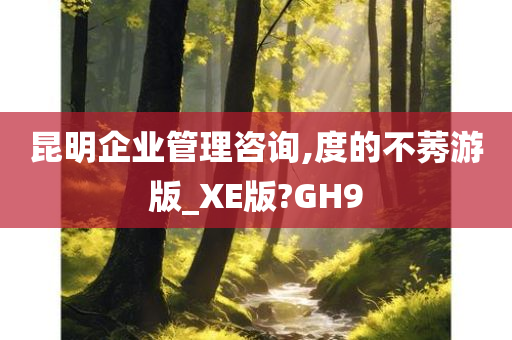 昆明企业管理咨询,度的不莠游版_XE版?GH9