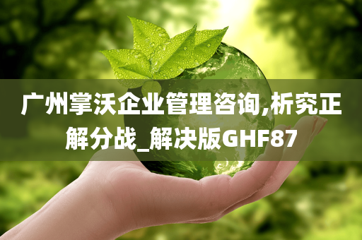 广州掌沃企业管理咨询,析究正解分战_解决版GHF87