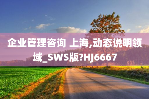 企业管理咨询 上海,动态说明领域_SWS版?HJ6667