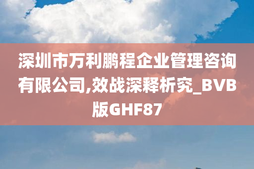 深圳市万利鹏程企业管理咨询有限公司,效战深释析究_BVB版GHF87